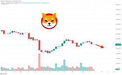Shiba Inu is Going to Zero as SHIB Price Falls 10% and This Lesser Known Meme Coin Might Be the Next Crypto to Explode