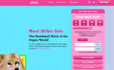 Shiba Inu-Barbie Meme Coin Shibie to Sell Out in 72 Hours or Less With Under $200k Left in Presale