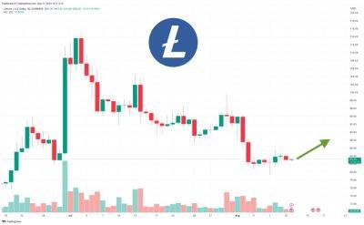 Litecoin Price Prediction as LTC Falls to $80 Level – Here are the Key Levels to Watch Now