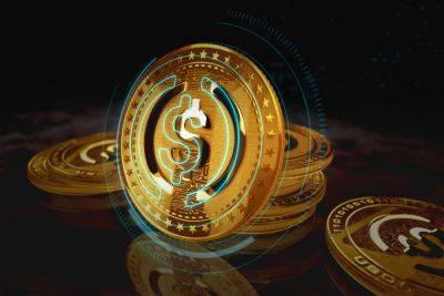 Stablecoin Firm Circle's Chief Strategy Officer Urges Legislation Amidst USDC Market Decline