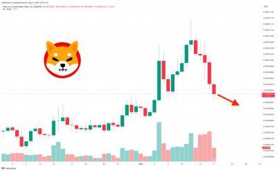 Shiba Inu Price Prediction as SHIB Drops 7.5% After Shibarium Launch – What's Going On?