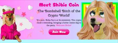 How to Buy Shibie Coin - A Simple Guide