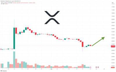 XRP Price Prediction as Market Sell-Off Sends XRP Back to $0.50 Zone – Here are Key Levels to Watch Now