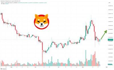 Shiba Inu Price Prediction as SHIB Outperforms the Market – Time to Buy?