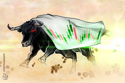 Crypto bull run: Traders share their plans for the ‘tornado’ to come