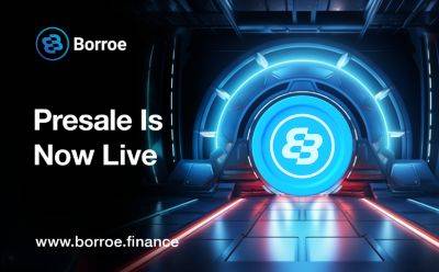 Leaving BNB and Uniswap Behind: Borroe ($ROE) Ascends With $250,000 Raised in Record Time!
