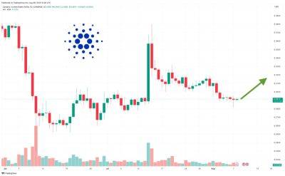 Cardano Price Prediction as Blockchain Transactions Surge Up Nearly 50% in 3 Months – Are Whales Moving to Cardano?