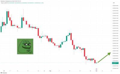 Is Pepe Coin Going to Zero? PEPE Price Plummets 25% in 7 Days as Meme Coin Experts Shift to This New Coin Before it Lists on Exchanges