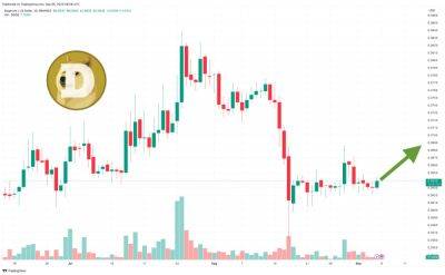 Dogecoin Price Prediction as DOGE Spikes Up 2% Overnight – Is the Sell-Off Over?