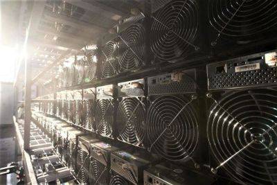 Leading Crypto Miners Riot, TeraWulf, CleanSpark Brace for 2024 Bitcoin Halving