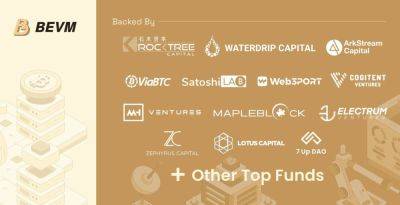 BEVM Bitcoin Layer2 Closes Seed Round with RockTree Capital, Sathoshi Lab & 20 Others