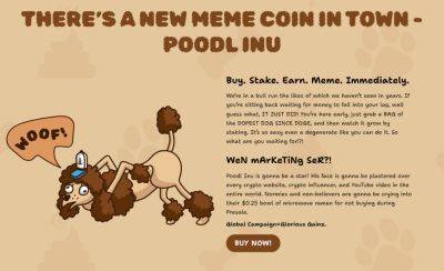 Poodl Inu (POODL) Is A Token For All The Meme Coin Enthusiasts, Investors Rush To Presale