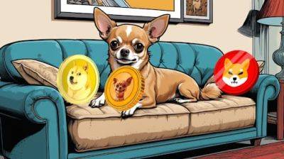 Top Three Meme Coins With Low Risk for Newbies: Dogecoin (DOGE), Shiba Inu (SHIB), Hump (HUMP)
