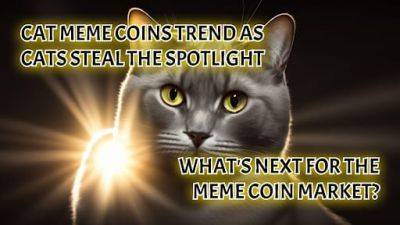 Cat Meme Coins Trend as Cats Steal the Spotlight: What’s Next for the Meme Coin Market?