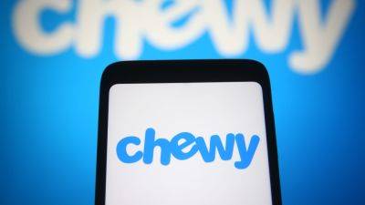 Chewy stock pops 34% after Roaring Kitty posts a dog picture, then gives it all back