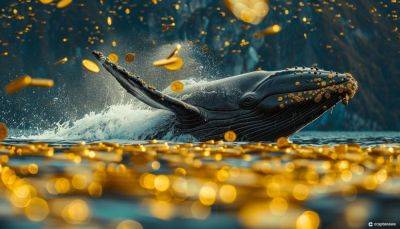 Compound Finance Reaches Truce with Crypto Whale Humpy and The Golden Boys After Governance Dispute