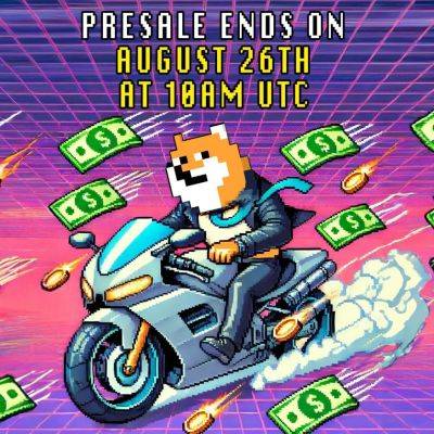 PlayDoge Enters Final 6 Days of Sellout Presale, Reveals More P2E Game Footage