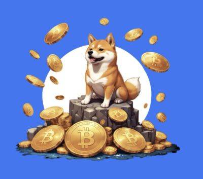 Doge2014 Brings Back the DOGE Craze – How to Grab the Viral Meme Coin Before it’s Too Late?