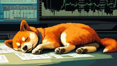 Dogecoin Falls 23% in 24 Hours: Analysts Predict More Pain in August-September