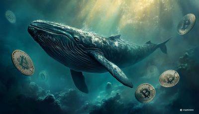 12,000 Bitcoin Sell Order Sparks Fears of Whale Manipulation