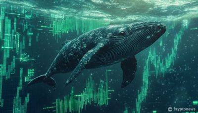 Is It Too Late to Jump Into Solana? Whale Activity Suggests Big Moves Ahead