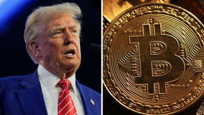 Trump and bitcoin: BlackRock predicts another historic year for crypto